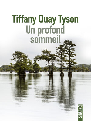 cover image of Un profond sommeil
